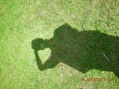 Kampfoto 2010