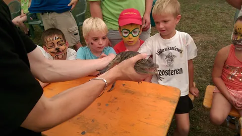 Kampfoto 2015