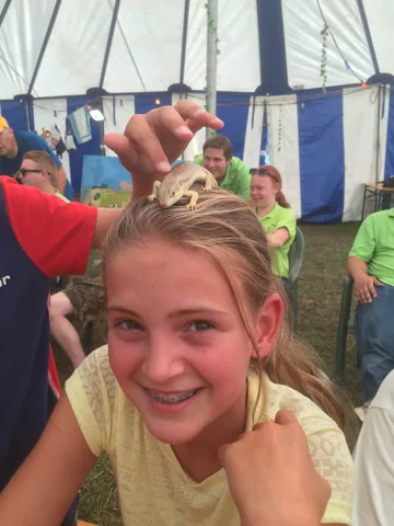 Kampfoto 2015
