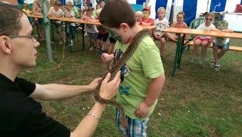 Kampfoto 2015