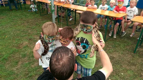 Kampfoto 2015