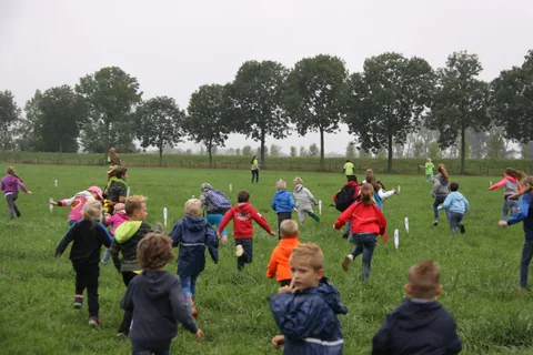 Kampfoto 2015