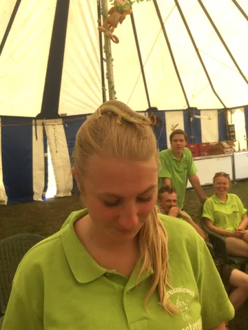 Kampfoto 2015