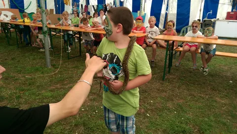 Kampfoto 2015
