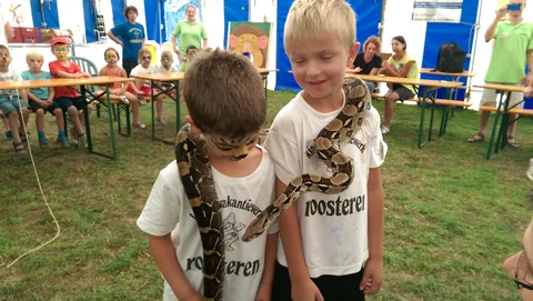 Kampfoto 2015