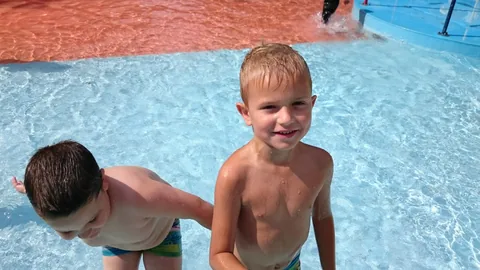 Kampfoto 2015