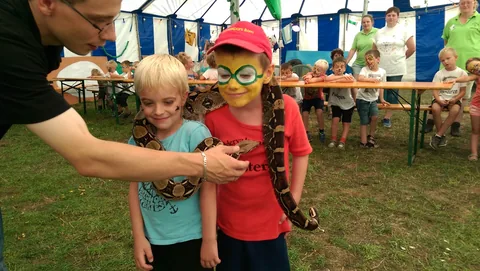 Kampfoto 2015