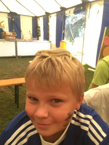 Kampfoto 2015