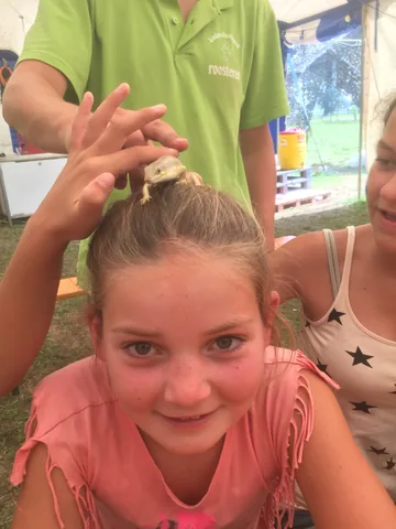 Kampfoto 2015
