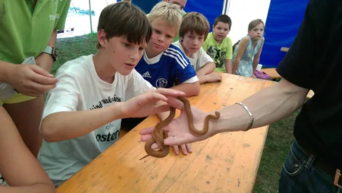 Kampfoto 2015
