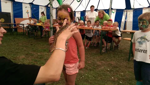 Kampfoto 2015