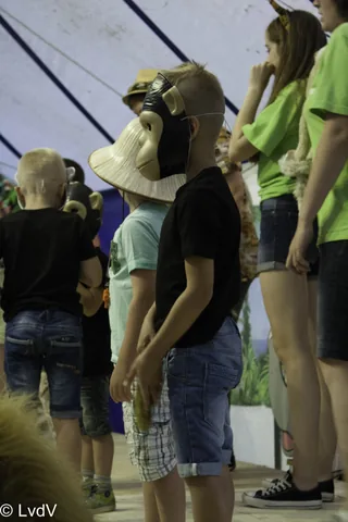 Kampfoto 2015