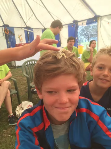 Kampfoto 2015