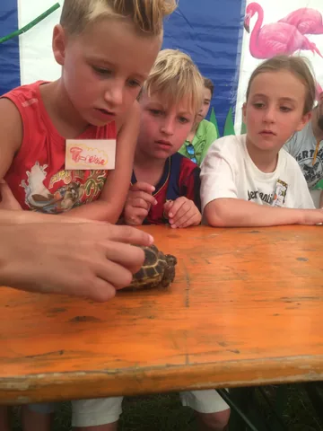 Kampfoto 2015