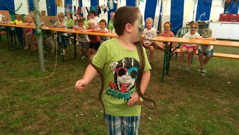 Kampfoto 2015