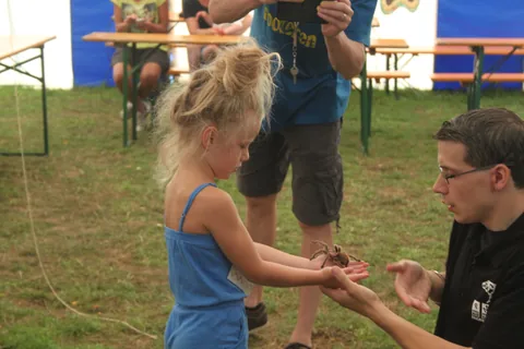 Kampfoto 2015