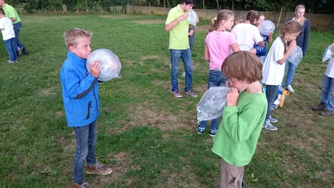 Kampfoto 2015