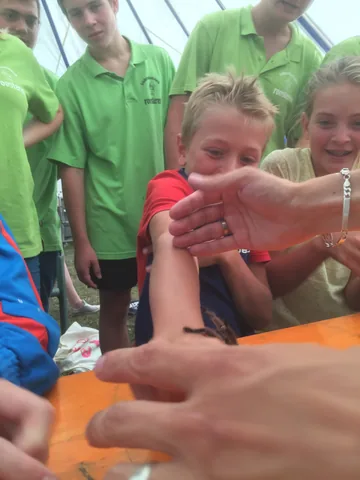 Kampfoto 2015