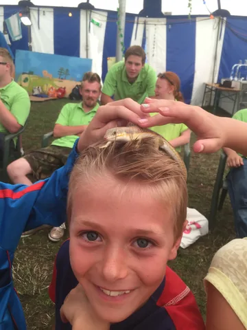 Kampfoto 2015
