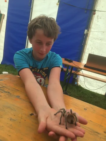 Kampfoto 2015