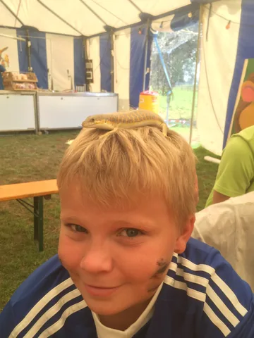 Kampfoto 2015