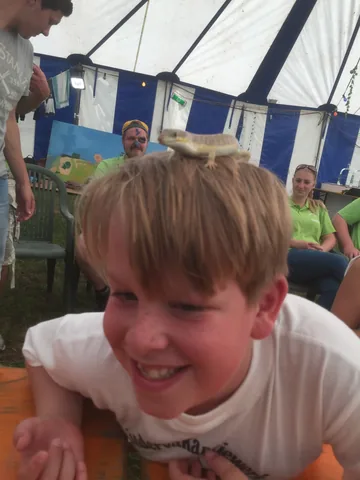 Kampfoto 2015