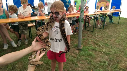 Kampfoto 2015