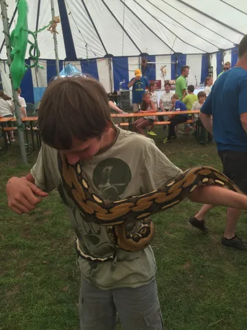 Kampfoto 2015