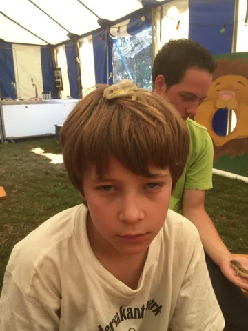 Kampfoto 2015