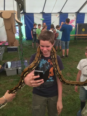 Kampfoto 2015