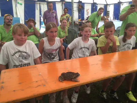 Kampfoto 2015