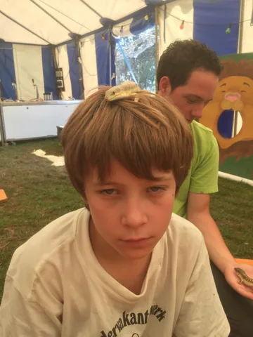 Kampfoto 2015