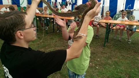 Kampfoto 2015