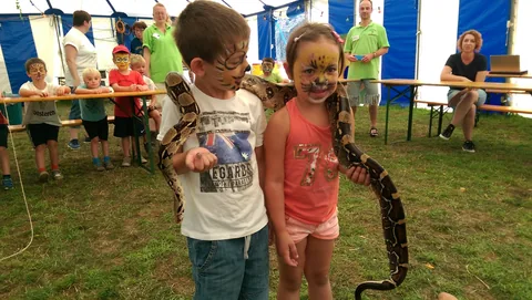 Kampfoto 2015
