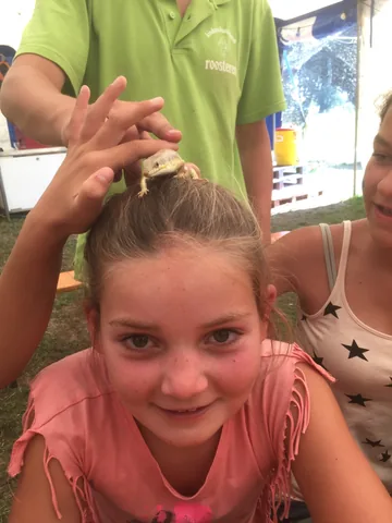 Kampfoto 2015
