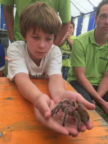 Kampfoto 2015