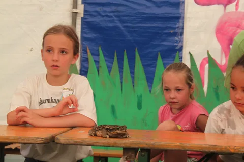 Kampfoto 2015