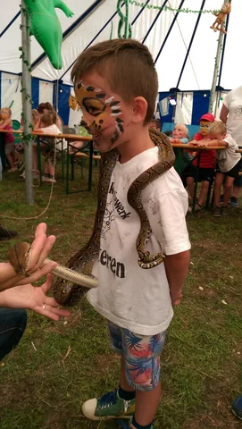 Kampfoto 2015