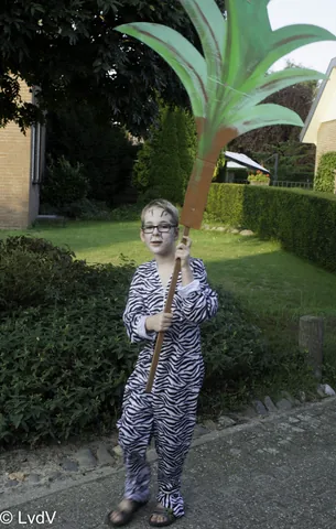 Kampfoto 2015