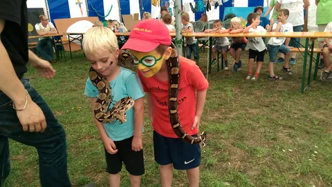Kampfoto 2015
