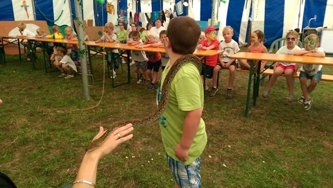 Kampfoto 2015