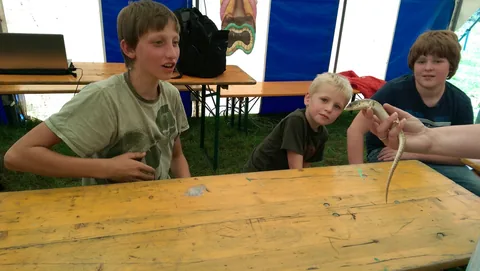 Kampfoto 2015