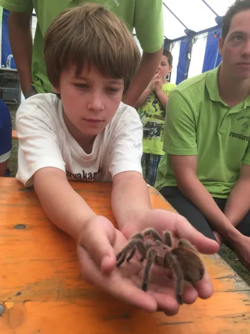 Kampfoto 2015