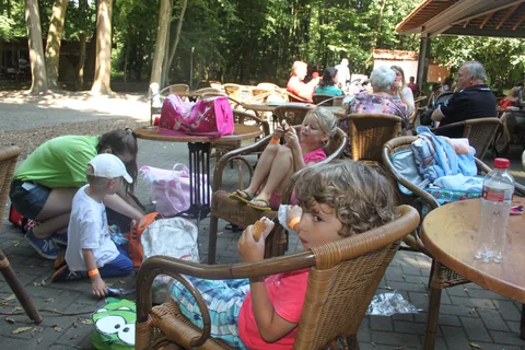 Kampfoto 2015