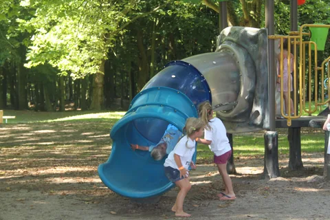 Kampfoto 2015