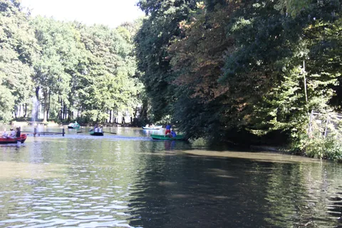 Kampfoto 2016