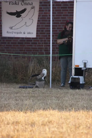Kampfoto 2018