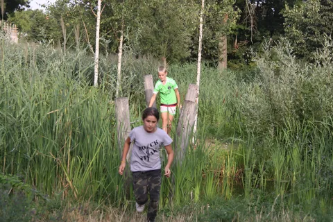 Kampfoto 2018