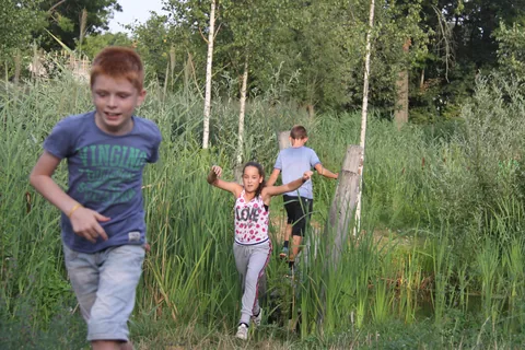 Kampfoto 2018