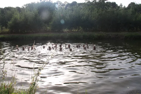 Kampfoto 2018